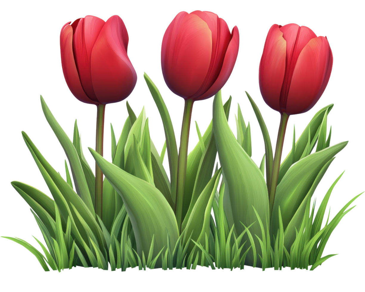 Three red tulips in the grass png