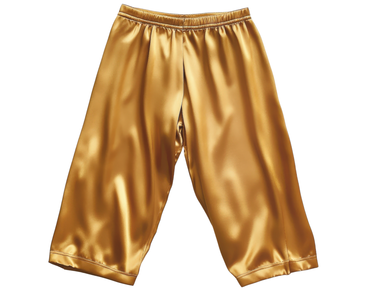 A gold satin pants with a zipper on the side png