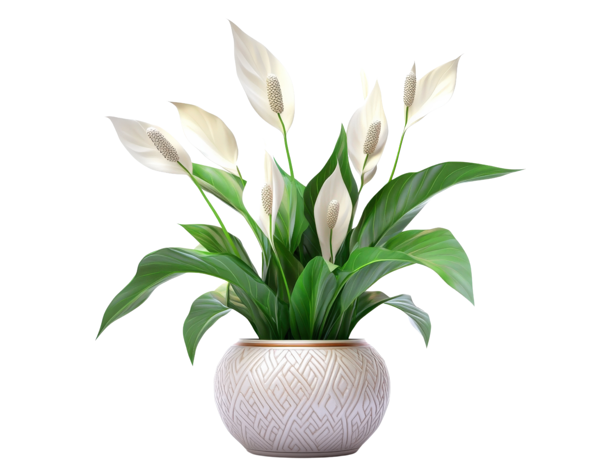 A white vase with green leaves in it png