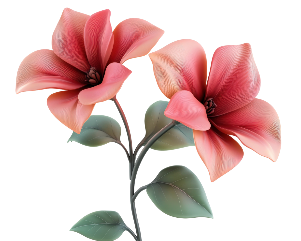 Two pink flowers are on a black background png