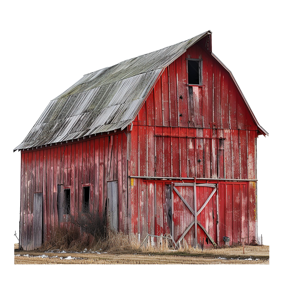 A weathered red barn stands in a field of dried grass and snow png