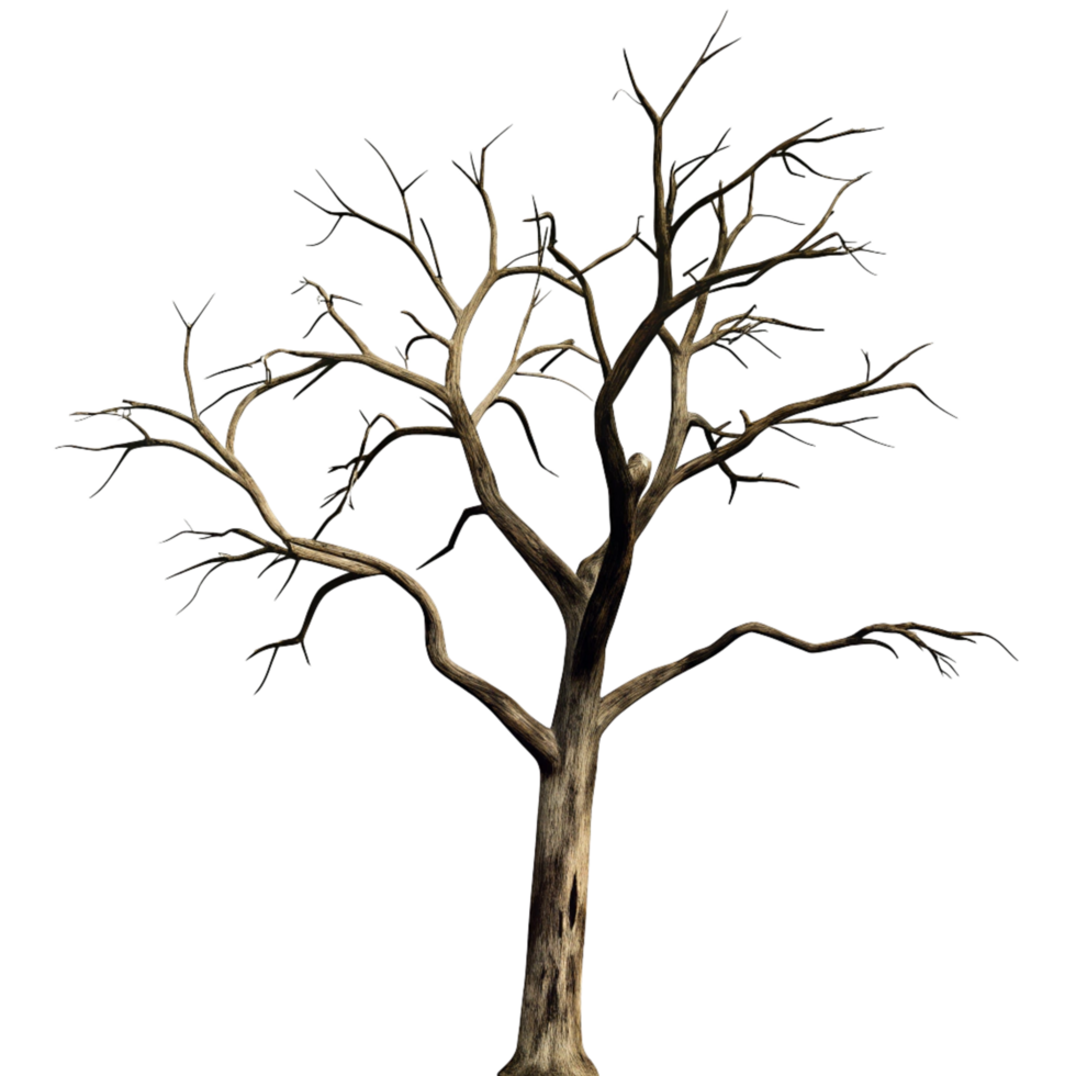 A digitally rendered image of a dead tree with gnarled branches against a black background png