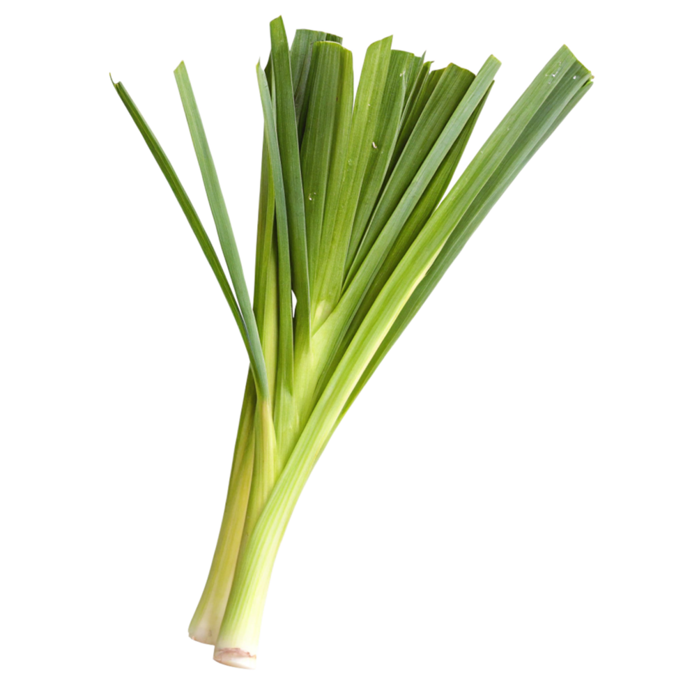 Fresh Green Leeks Isolated on Black Background Leafy Vegetable Food Photography png
