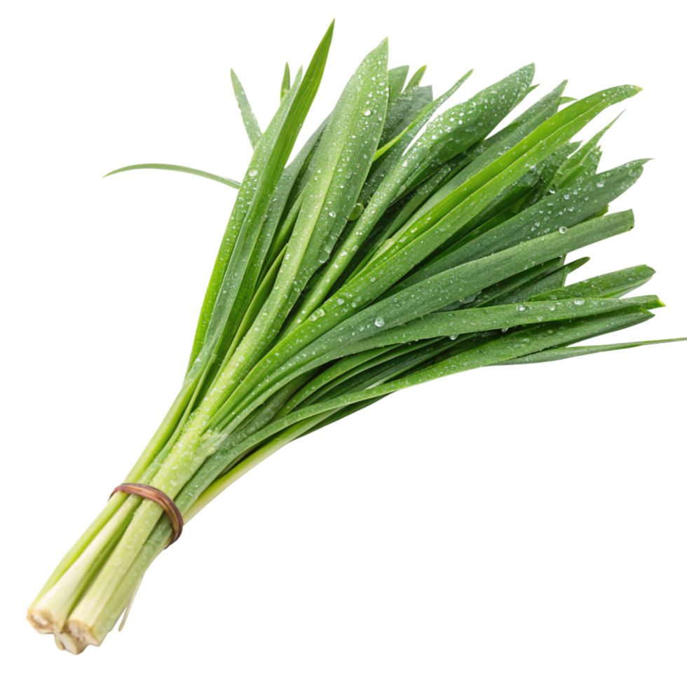 A Bunch of Fresh Green Garlic Scapes with Water Droplets png