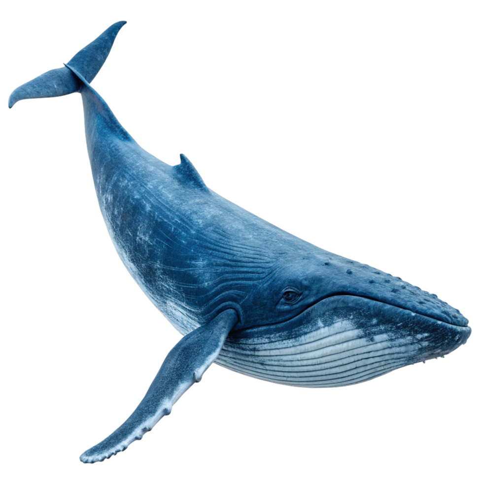 A Stunning 3D Render of a Blue Whale Gracefully Swimming in the Ocean Depths png