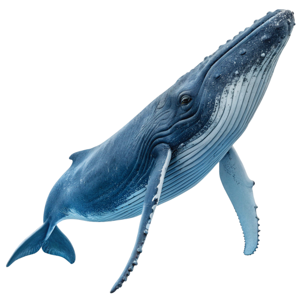 Stunning 3D Render of a Humpback Whale Swimming Gracefully in the Ocean Depths png