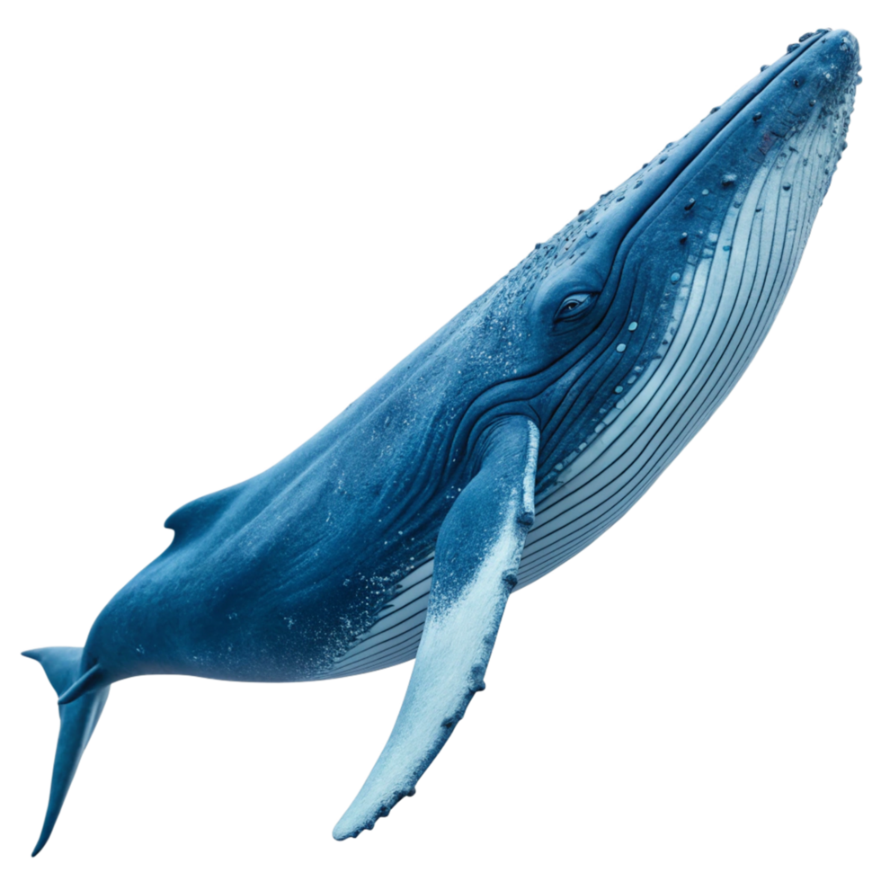 Stunning Image of a Humpback Whale Breaching the Surface png