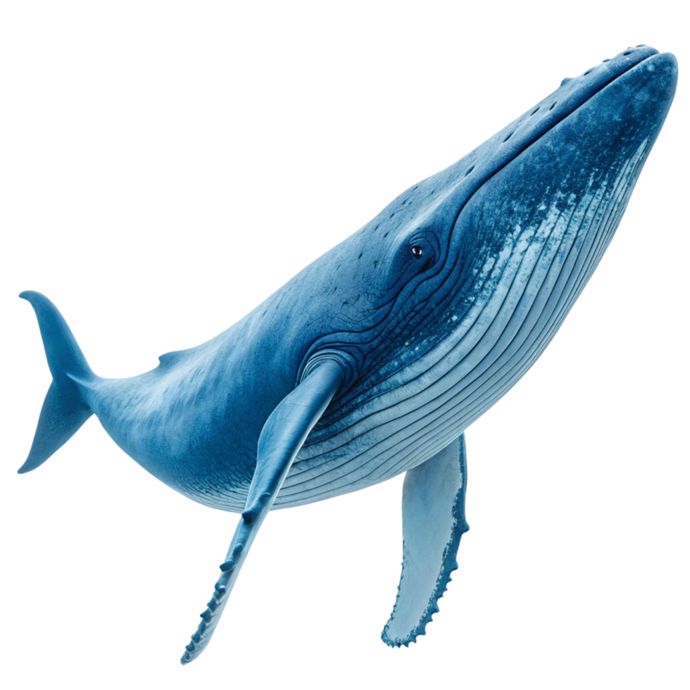 Stunning 3D Render of a Humpback Whale Breaching the Surface png