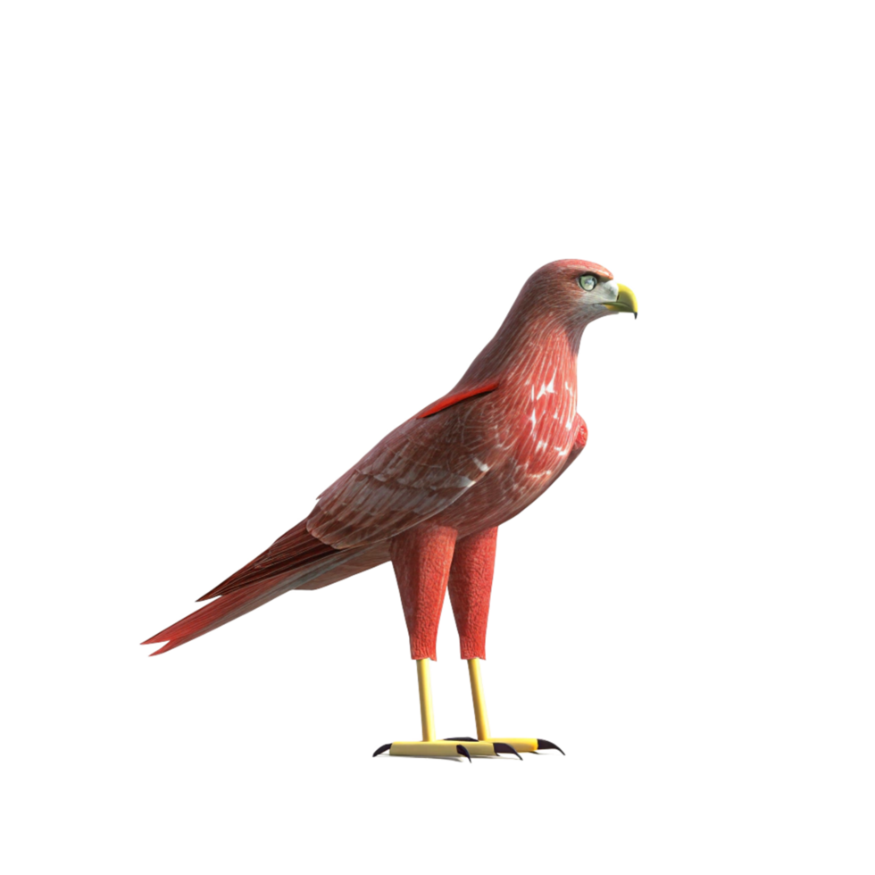 A Detailed 3D Render of a Red Hawk Bird Model Against a Black Background png