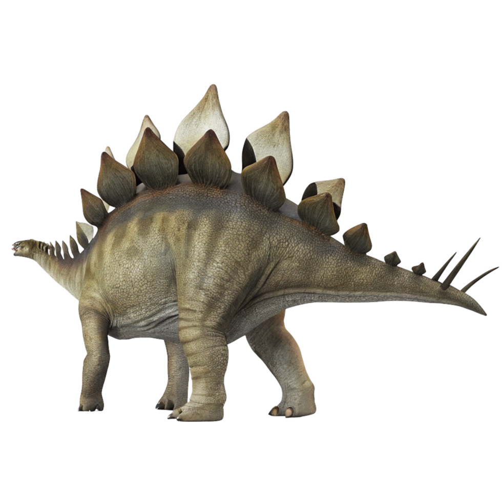 A Detailed 3D Render of a Stegosaurus Dinosaur Showing its Plates and Spikes png