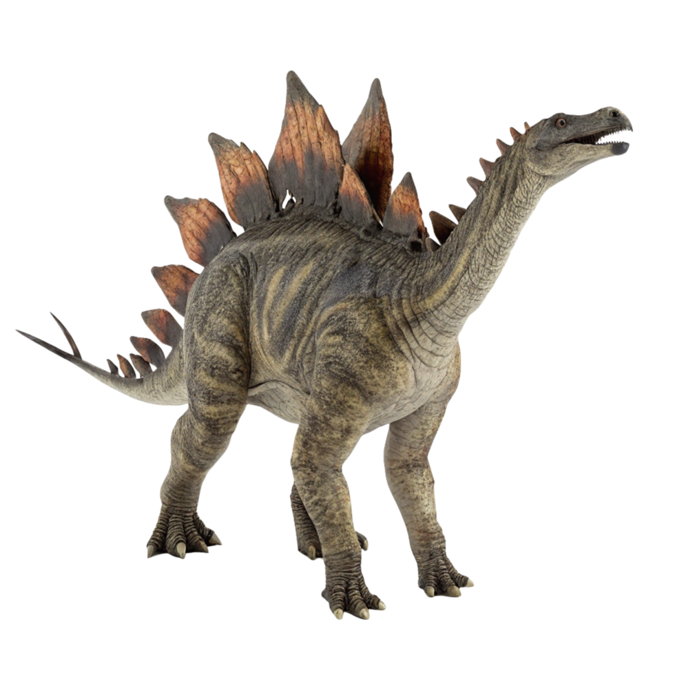 A detailed 3D rendering of a Stegosaurus dinosaur standing against a black background png