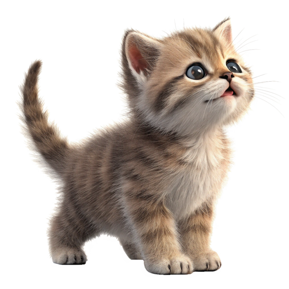 Adorable Fluffy Kitten Looking Upwards with Big Eyes and a Cute Expression png