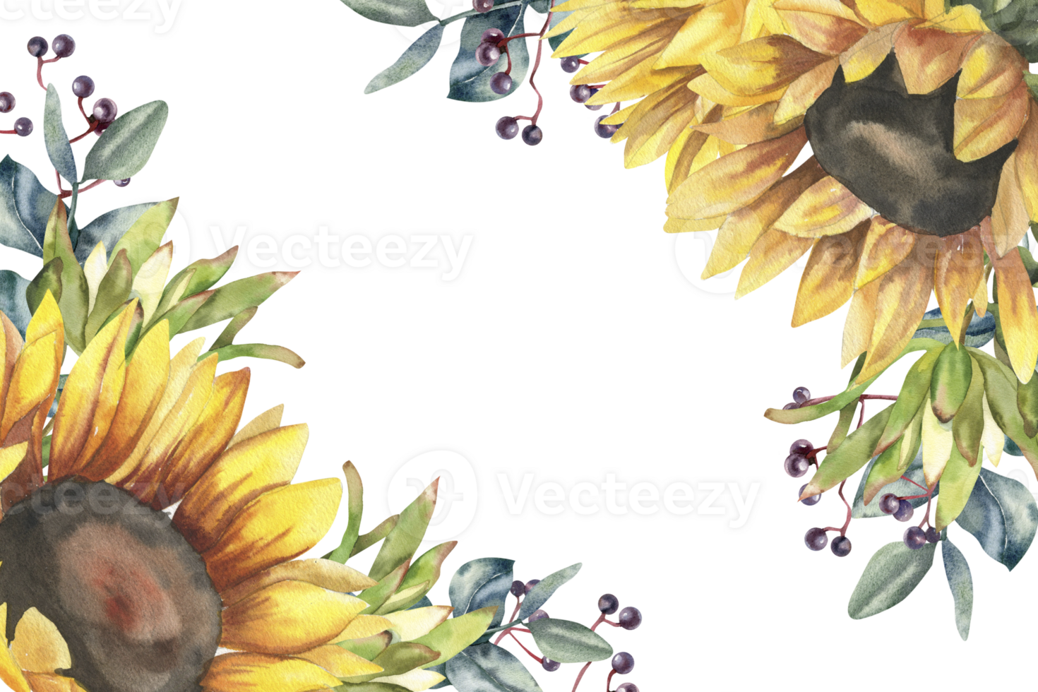 Autumn floral template with yellow sunflowers,protea and autumn berries watercolor illustration. Hand drawn harvest season frame with blossom and leaves for greeting card, poster,invitation design png