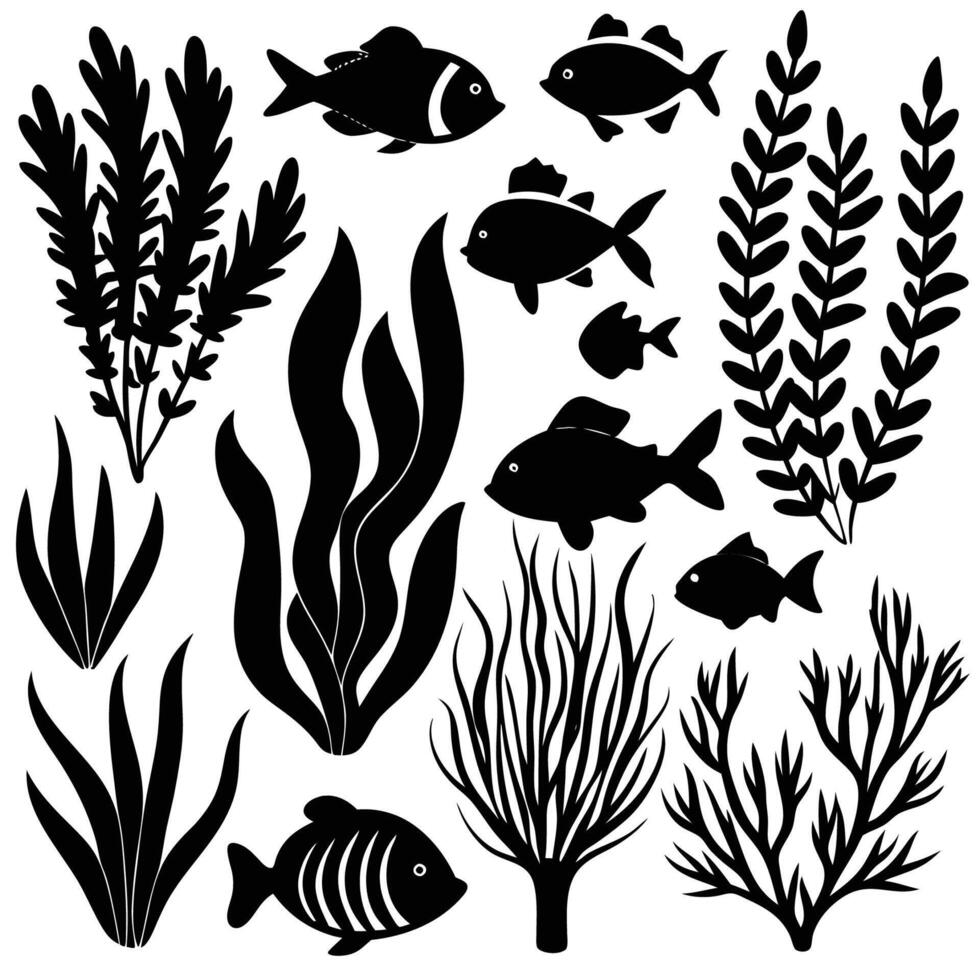 Collection of Algae and Fish Silhouettes Isolated on Transparent Background vector