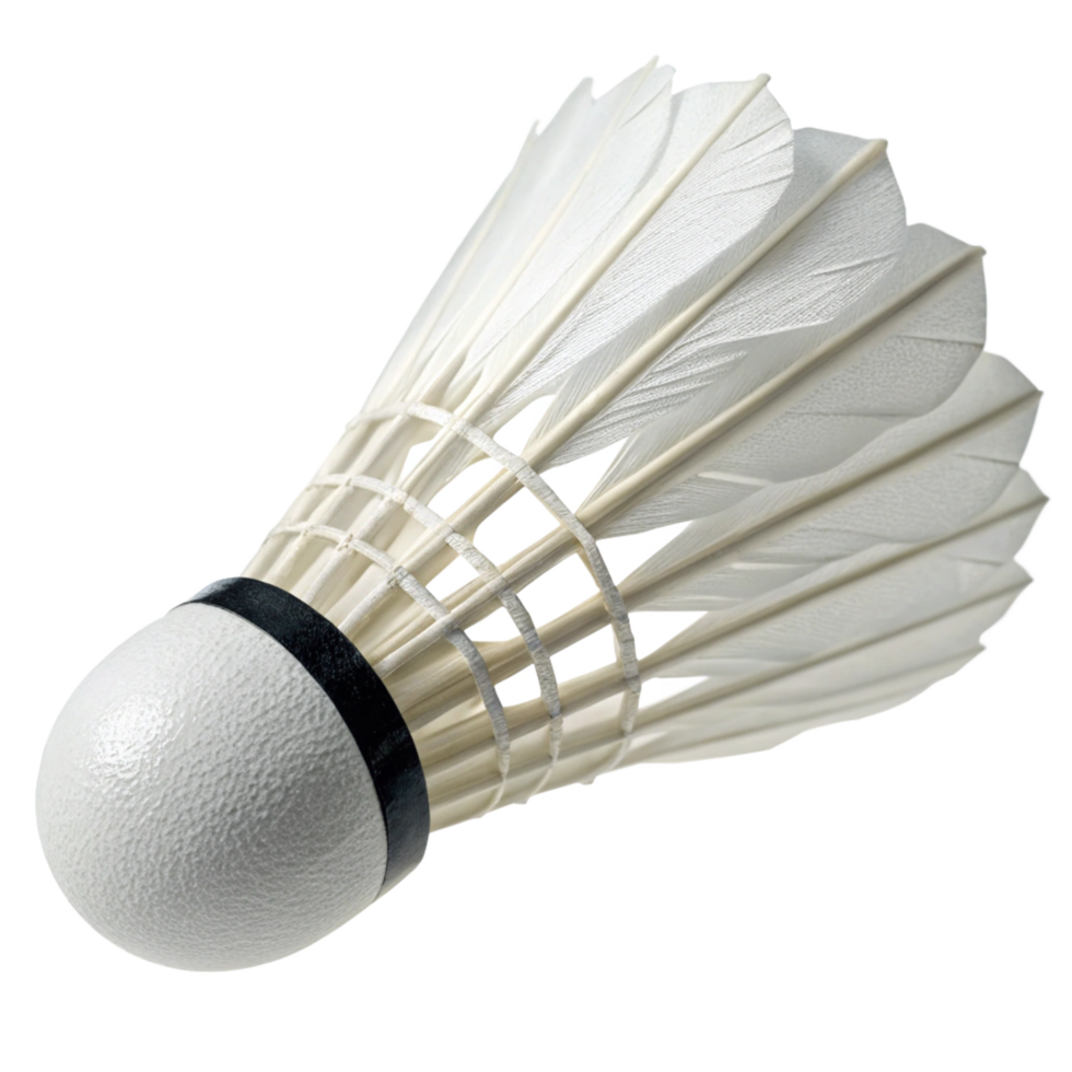 Closeup view of a white badminton shuttlecock with its feathers and cork base clearly visible png