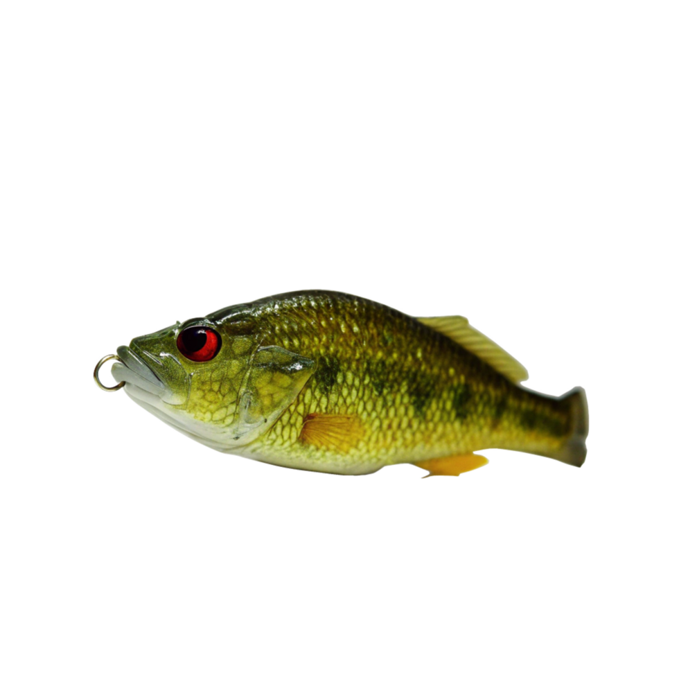 Highresolution Closeup Image of a Realistic Green Fishing Lure Shaped Like a Fish png