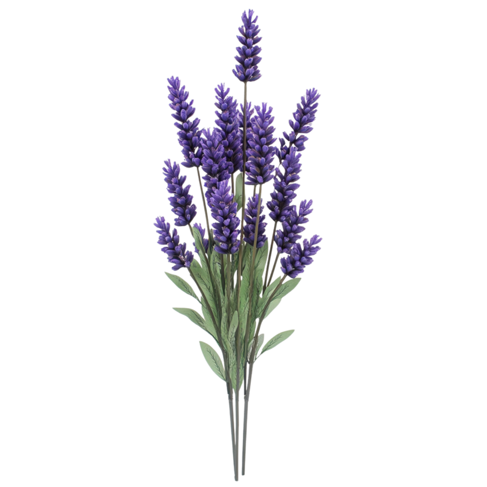 A beautiful lavender flower 3d isolated on transparent background png
