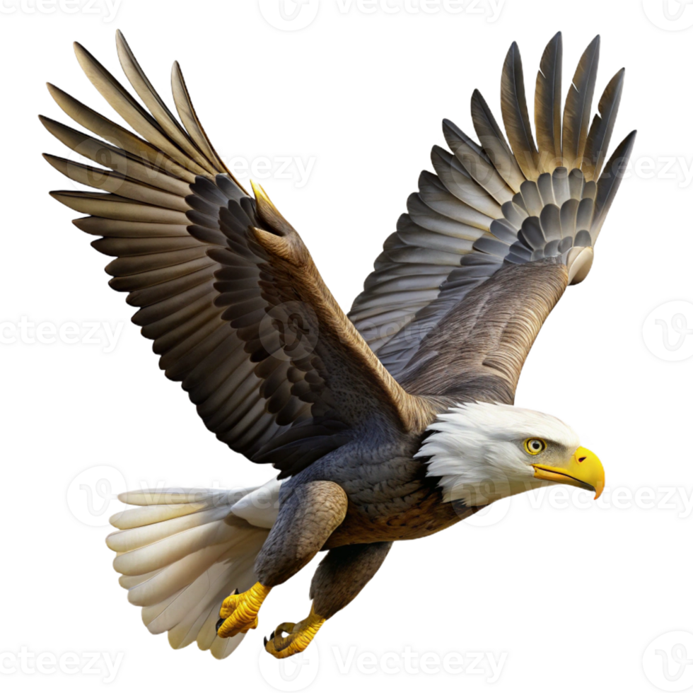 dramatic minimalist A Majestic Bald Eagle Soaring Through the premium png