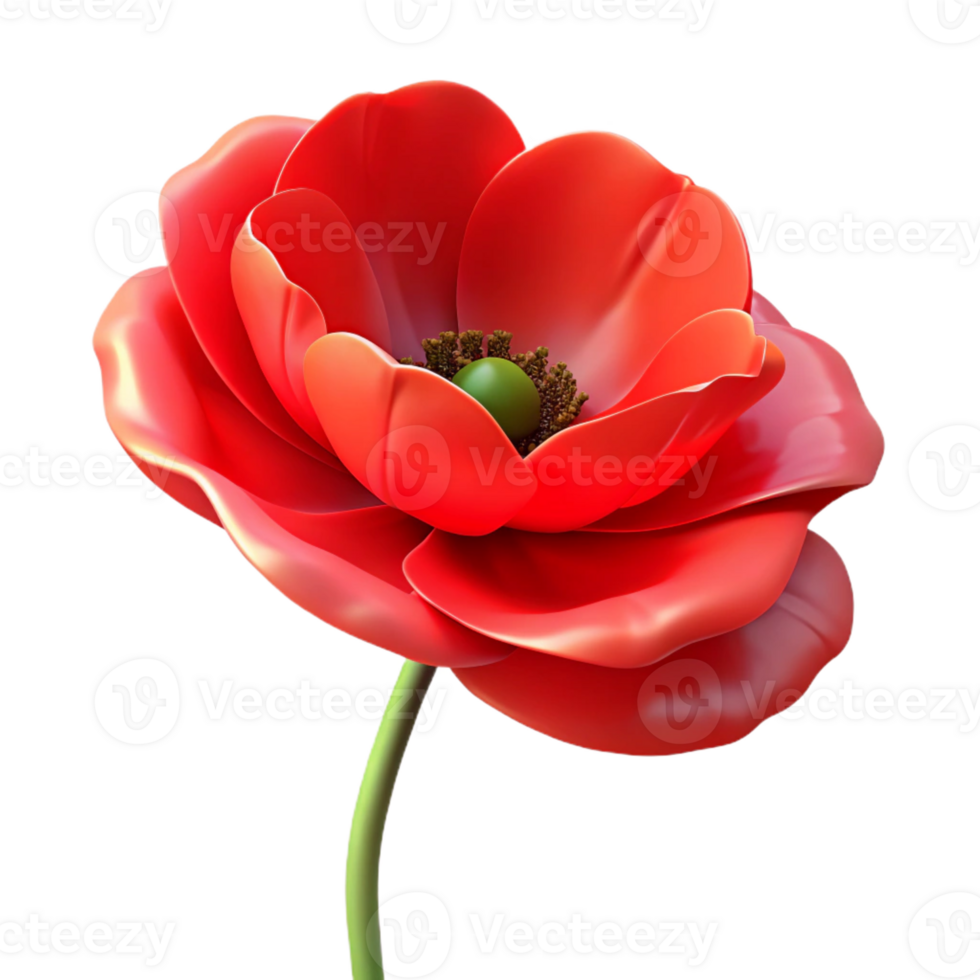 elegant classic A single, open poppy flower, vibrant red, with delicate petals, backlit, painterly style detailed png