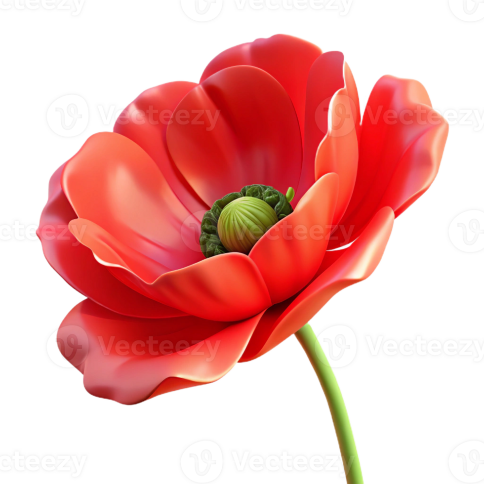 beautiful modern A single, open poppy flower, vibrant red, with delicate petals, backlit, painterly style detailed png