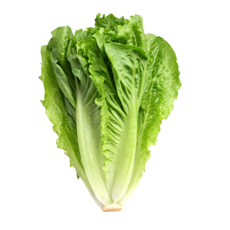 Fresh Green Romaine Lettuce Isolated on Black Background png