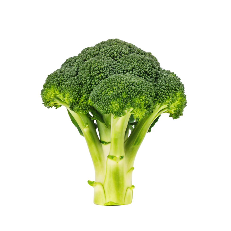 Vibrant Green Broccoli Floret Isolated on Black Background Fresh Vegetable Closeup Photography png