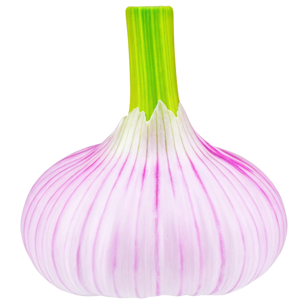 Single Red Onion Bulb Isolated on Black Background High Resolution Image png