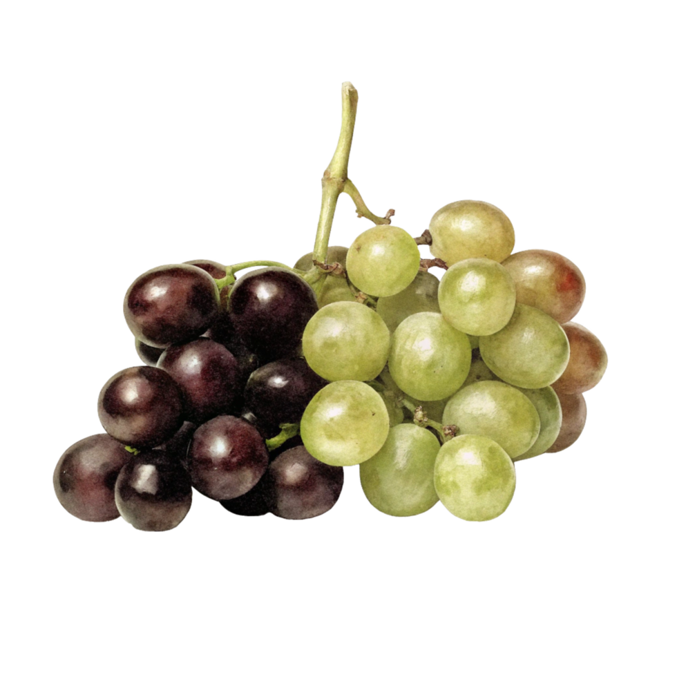 A Bunch of Red and Green Grapes on a Black Background A Close Up Image of Fresh Fruit png