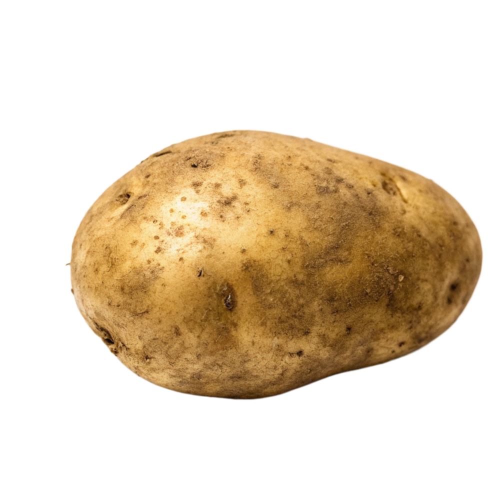 A Single Russet Potato Isolated on a Black Background A Detailed Close Up Image of a Brown and Beige Potato png