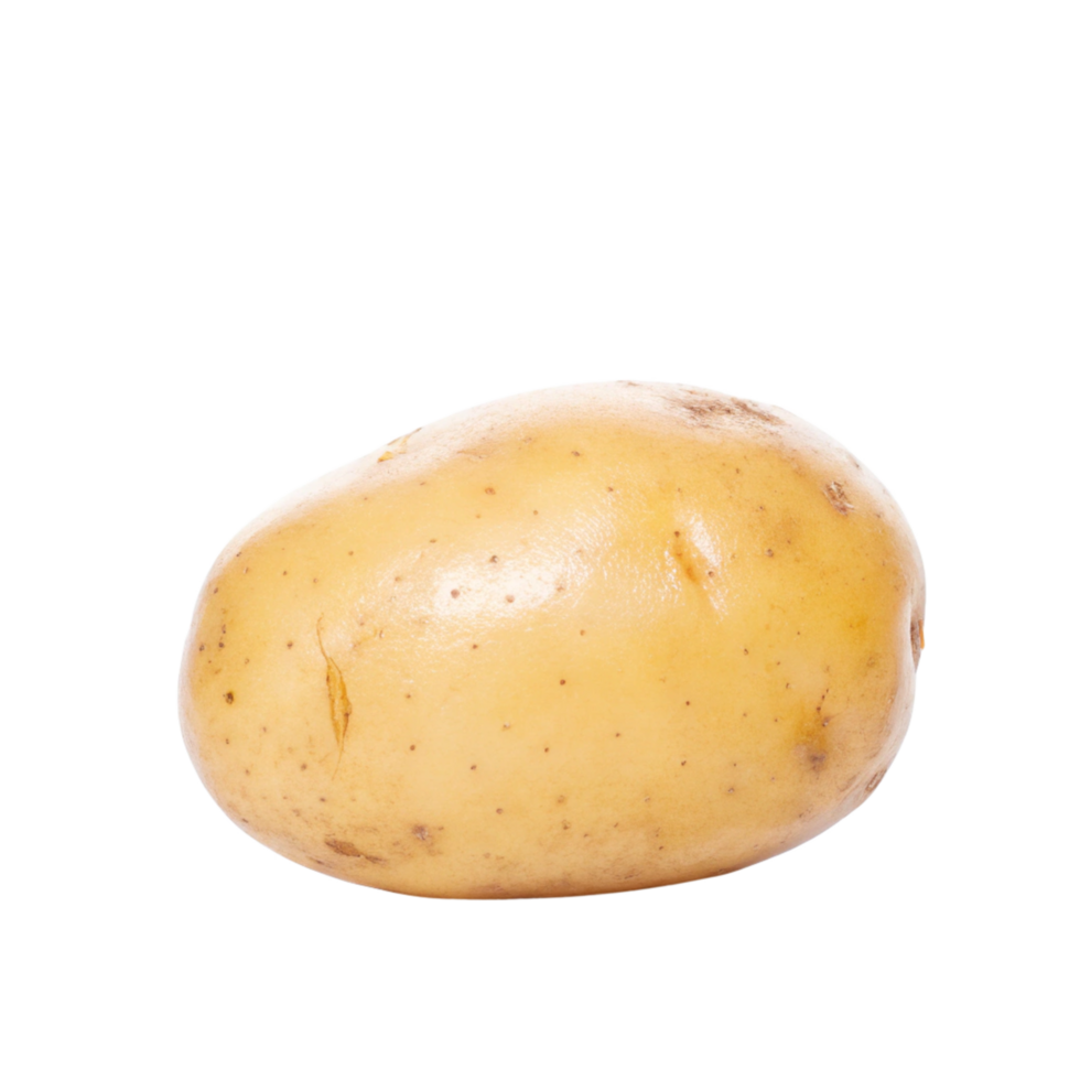 Single Raw Yellow Potato Isolated on Black Background a Tuber Vegetable png