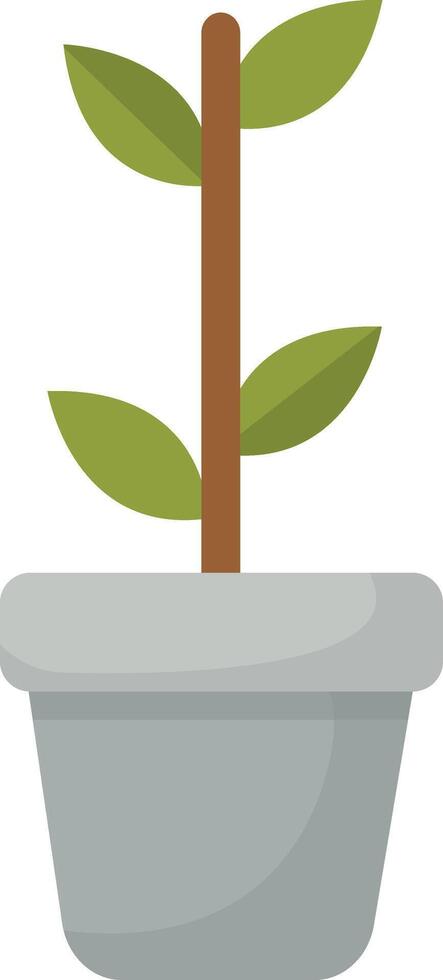 Young Sapling in Plant Pot vector