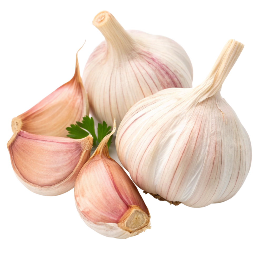 Closeup of fresh garlic bulbs and cloves with parsley garnish isolated on black background png
