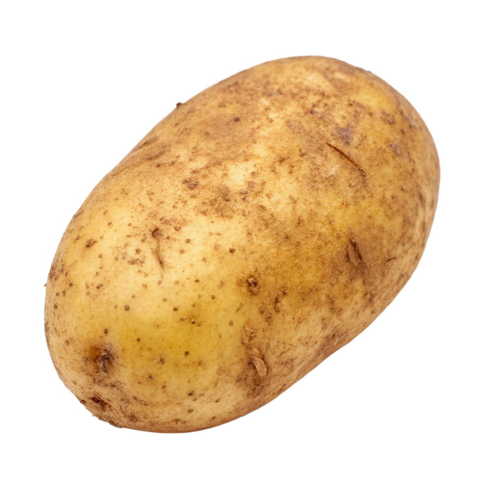 A Single Russet Potato with Dirt and Imperfections Isolated on Black Background png