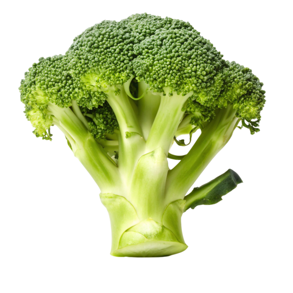 A Single Fresh Broccoli Floret Isolated on Black Background, Vibrant Green Color, Detailed Texture, Healthy Food, Vegetable png