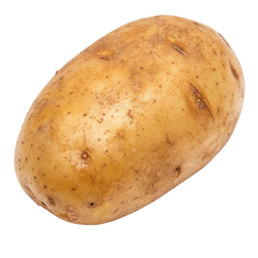 A single russet potato isolated on black background showing texture and skin detail png