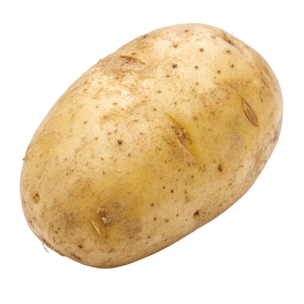 A Single Raw Russet Potato Isolated on Black Background png