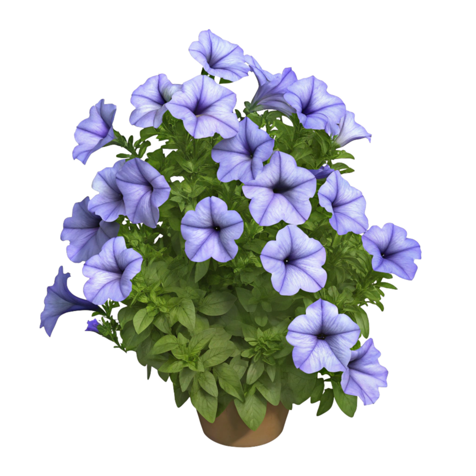 A Pot of Vibrant Lavender Petunias in Full Bloom png