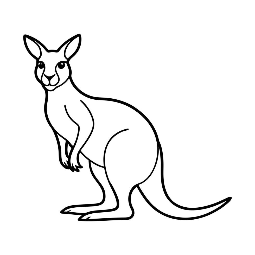 Sample line art kangaroo illustration. vector