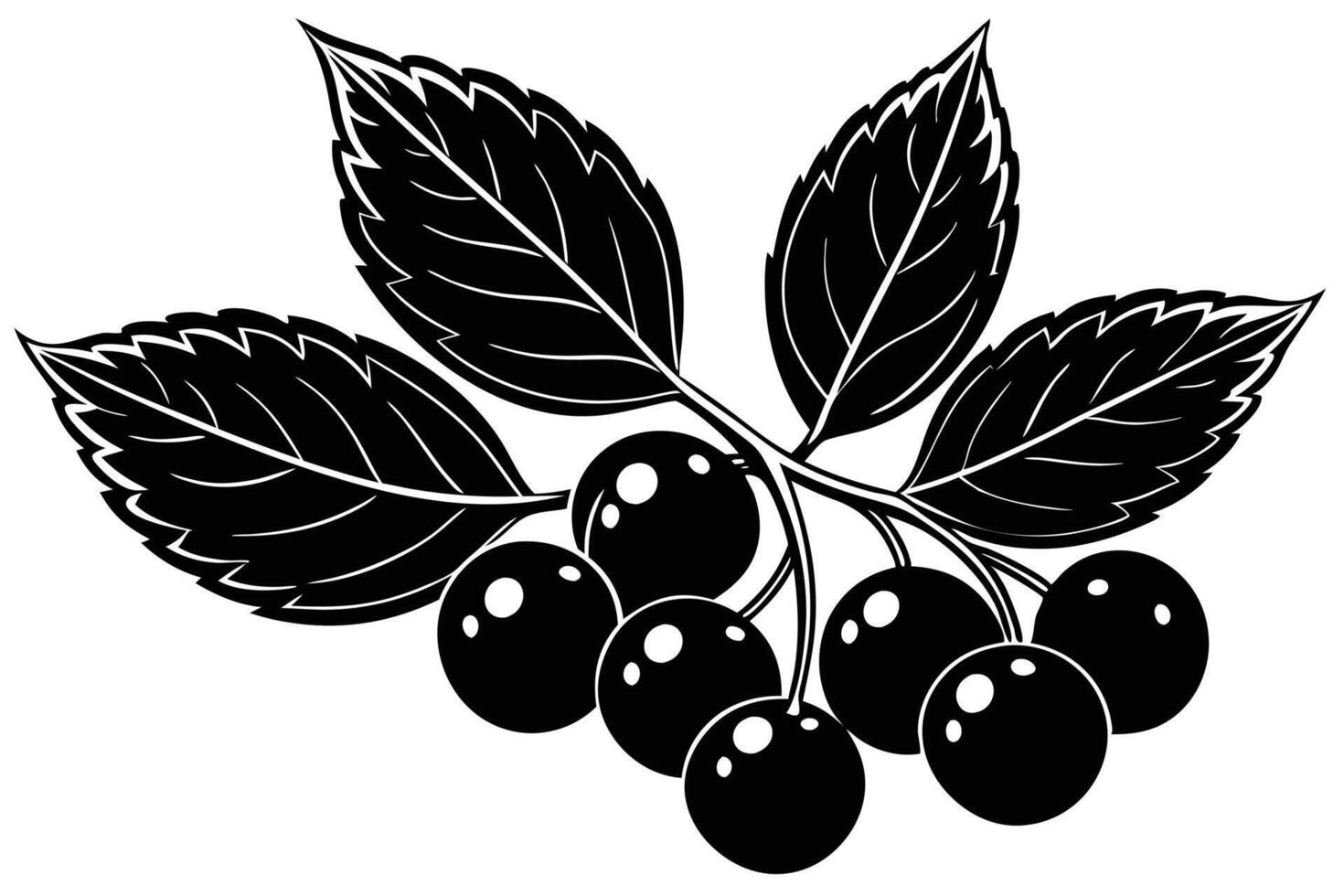 A black and White Illustration of a Branch of Berries with Leaves vector