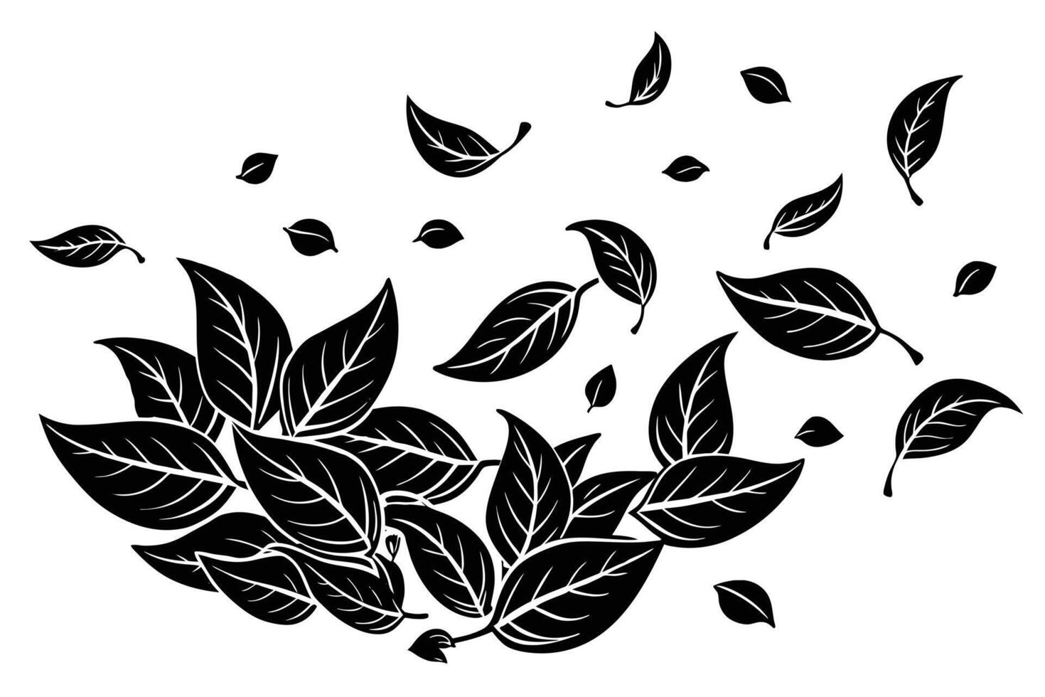 Black and White Illustration of Falling Leaves vector