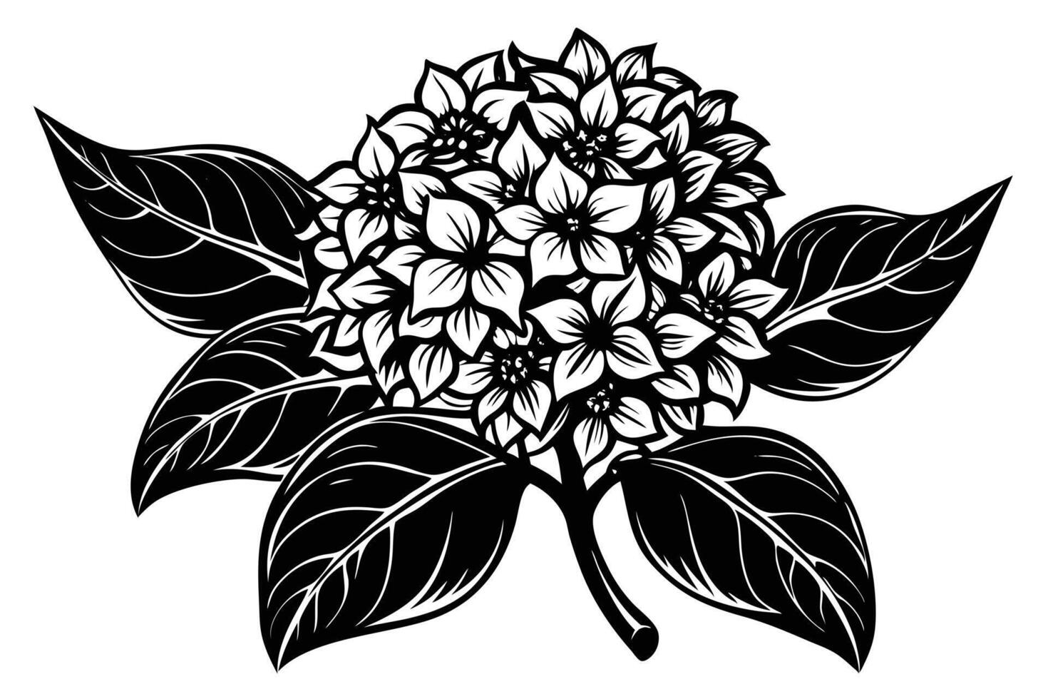 Elegant Black and White Floral Illustration of a Cluster of Flowers and Leaves vector