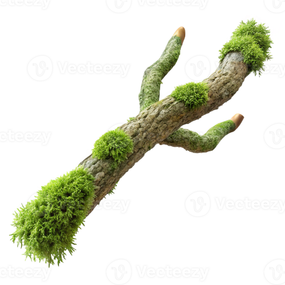 vibrant contemporary A branch covered in moss, intricate textures, soft lighting, macro photography style high resolution png