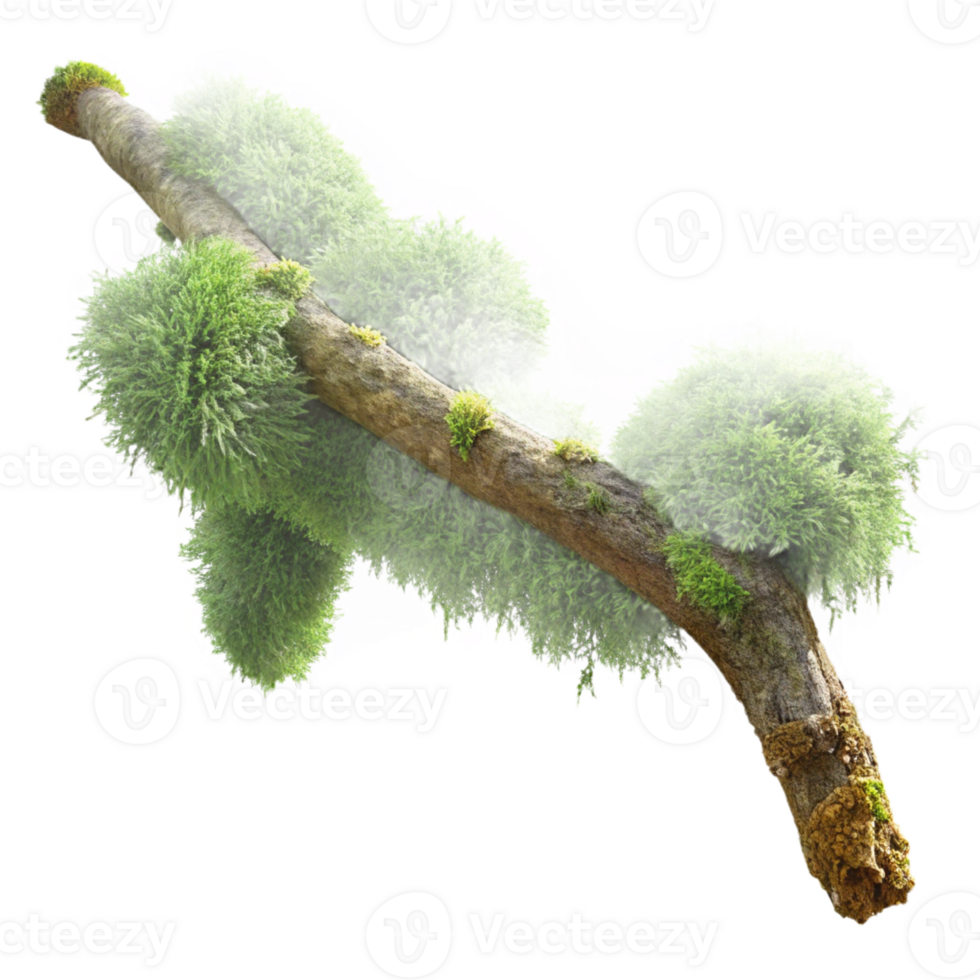dramatic artistic A branch covered in moss, intricate textures, soft lighting, macro photography style original png