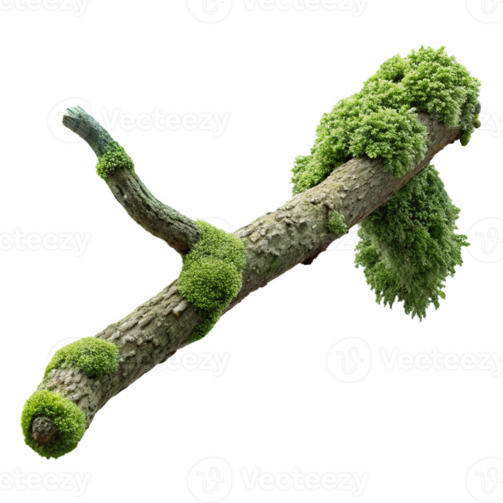 impressive vintage A branch covered in moss, intricate textures, soft lighting, macro photography style original png
