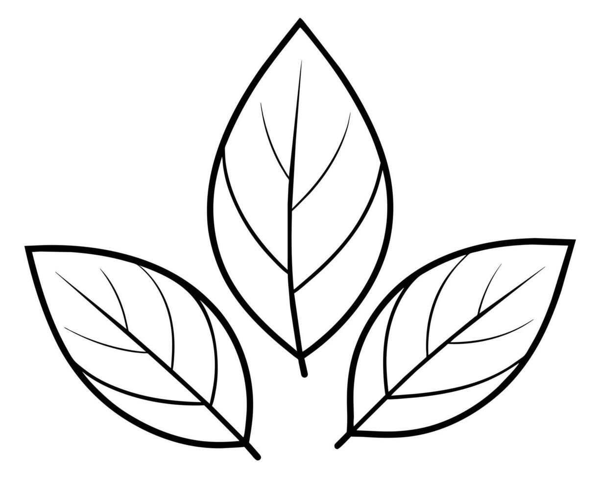 Elegant black and white leaf illustration vector