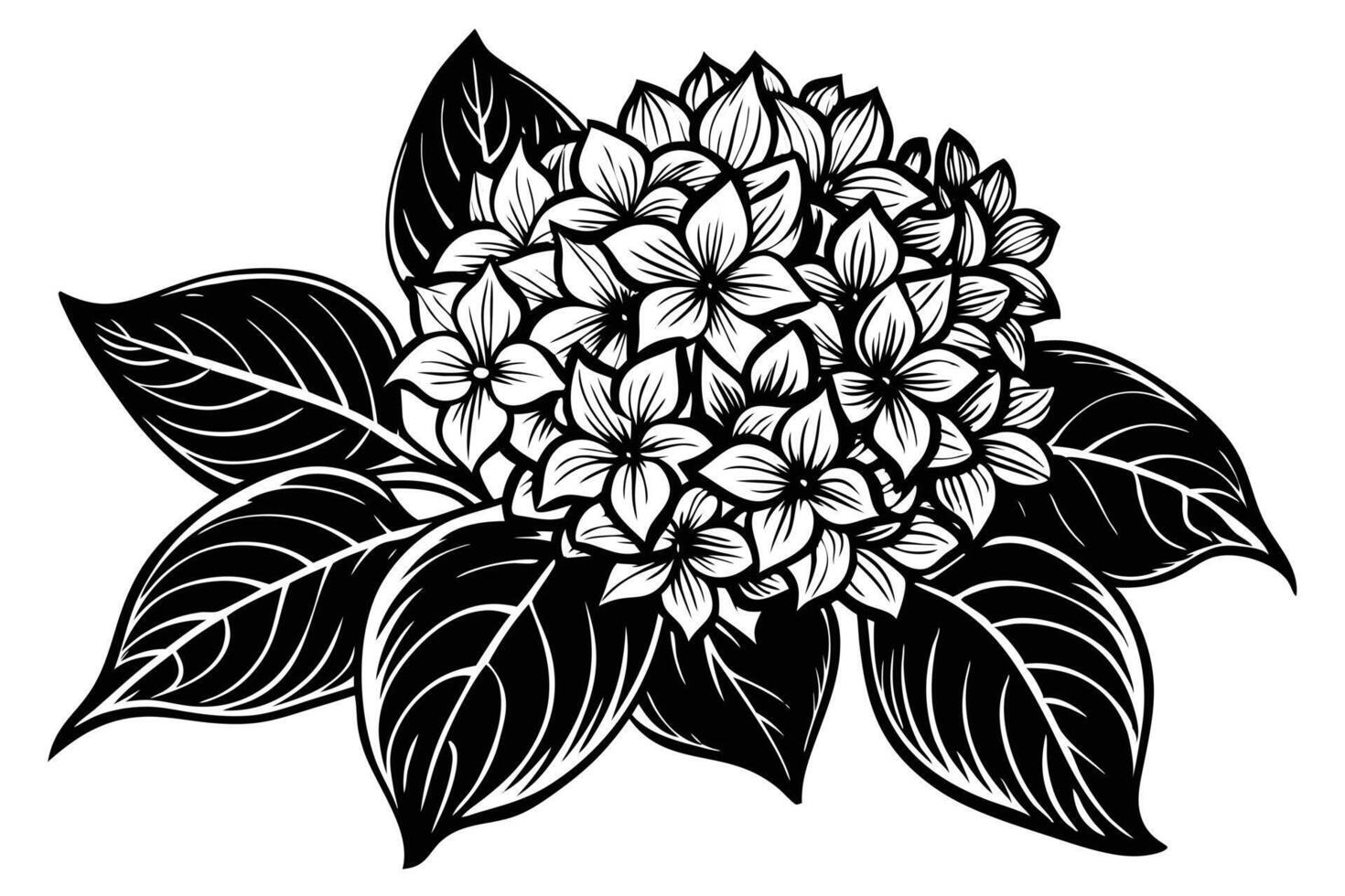 A Elegant Black and White Floral Illustration of a Cluster of Flowers and Leaves vector