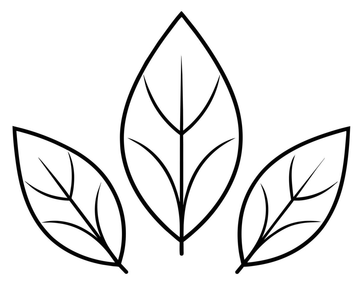 A Elegant black and white leaf illustration vector