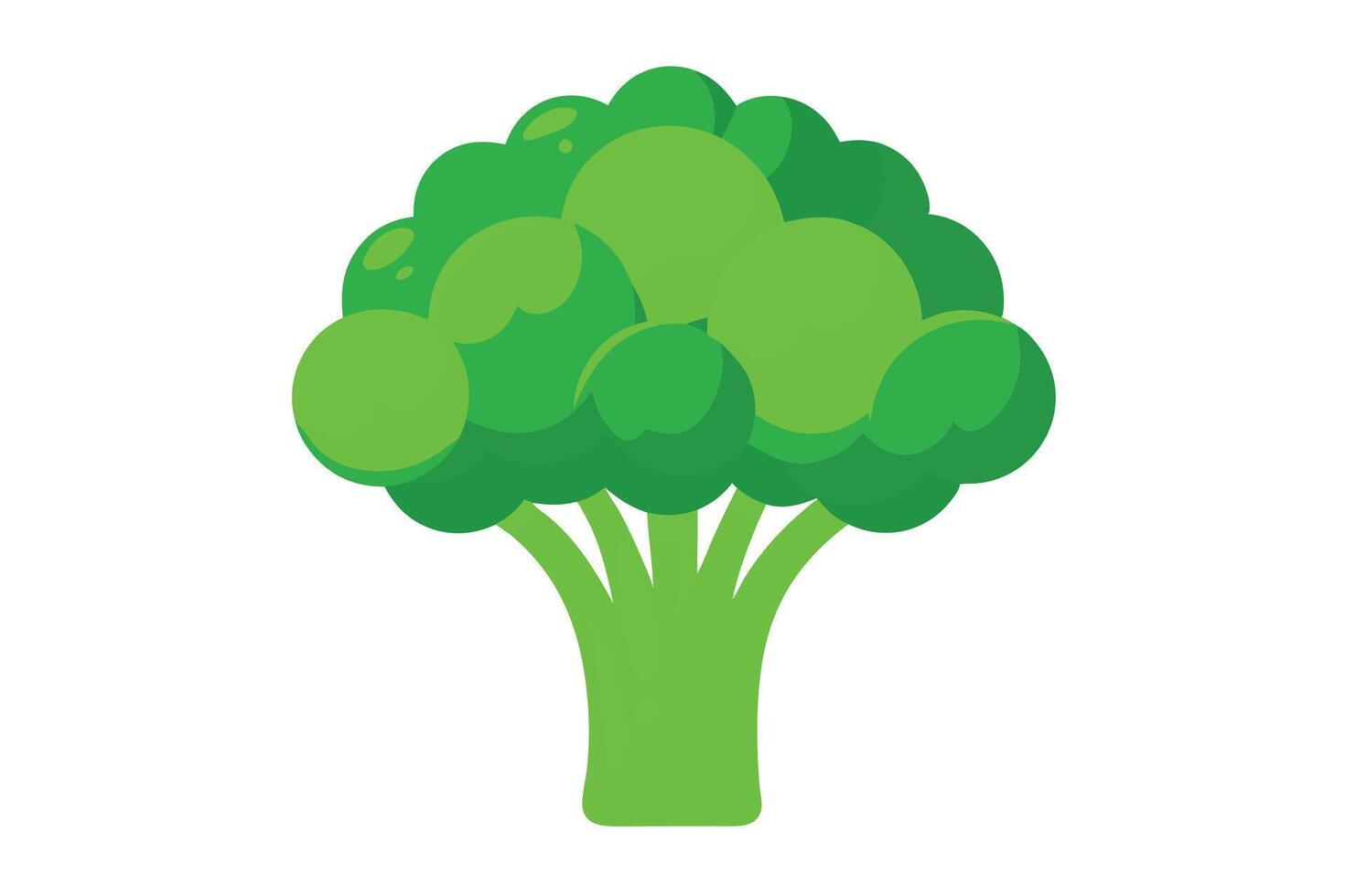 A Illustration of a Fresh Broccoli Head vector