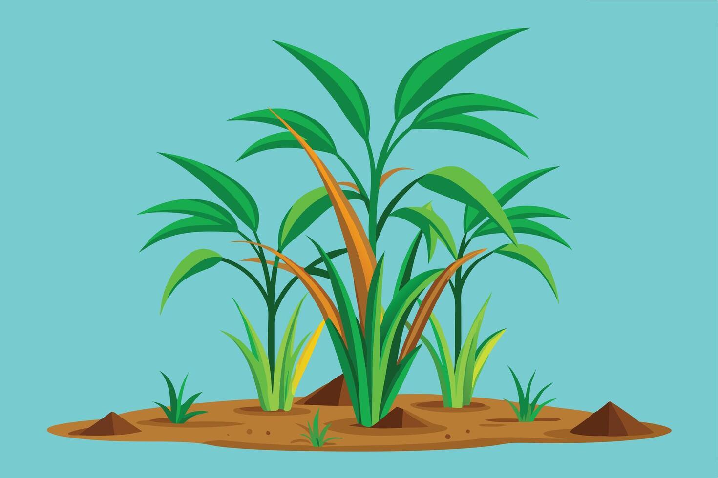 A lush Sugarcane Plants Growing in a Field vector