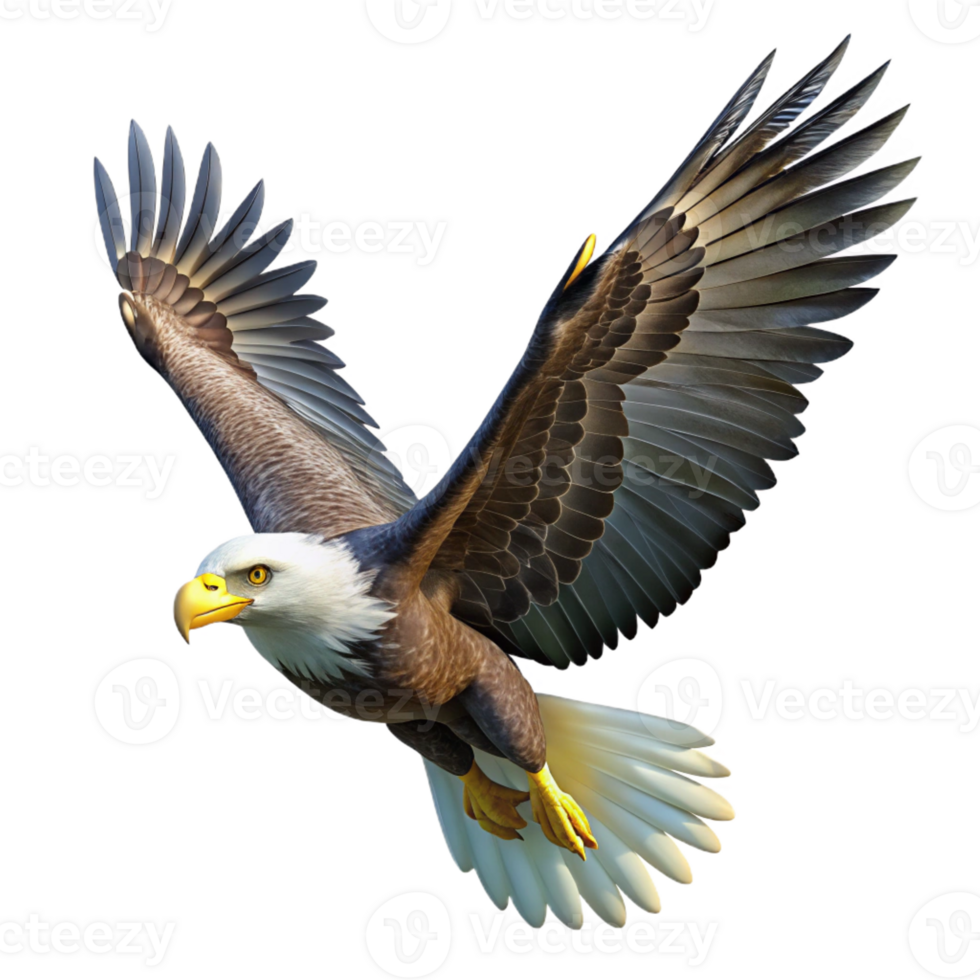 extraordinary traditional A Majestic Bald Eagle Soaring Through a detailed png